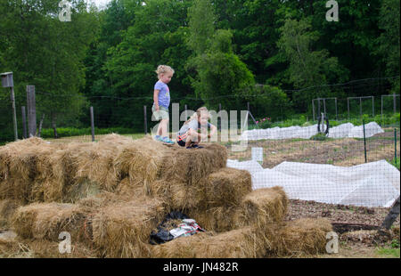 Zwei Mädchen spielen auf Heuballen, Gemeinschaftsgarten Yarmouth, Maine, USA Stockfoto