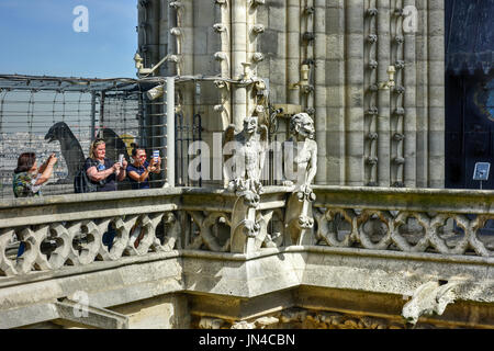 Paris, Frankreich - 17. Mai 2017: Touristen fotografieren der Wasserspeier auf dem Dach des berühmten Notre Dame de Paris, Kathedrale in Frankreich. Stockfoto