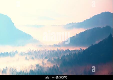 Beginn des Frühlings. Fantastische verträumte Sonnenaufgang über tiefes Tal versteckt in den Rocky Mountains. Schönen Frühling nebligen Tag Stockfoto