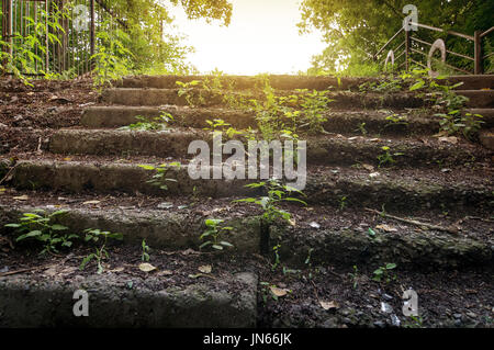 Alte verlassene Steintreppe im Park. Sommer. im hellen Sonnenlicht Stockfoto