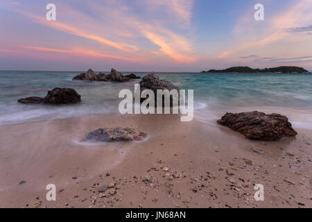 Stillleben-bildende Kunst-Element von Sea life Stockfoto