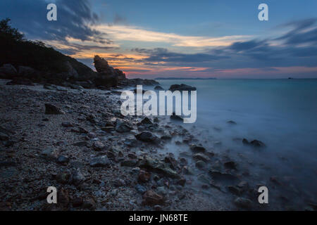 Stillleben-bildende Kunst-Element von Sea life Stockfoto