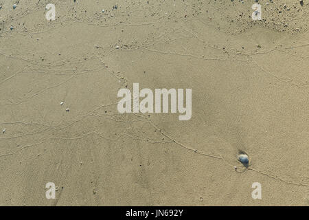 abstrakte Kunst der Natur geschnitzt Bilder auf dem Strand-Boden Stockfoto