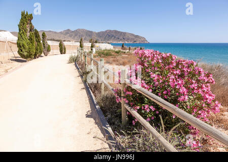 Wanderweg an der Mittelmeerküste zwischen den Städten Isla Plana und La Azohia. Provinz Murcia, Spanien Stockfoto