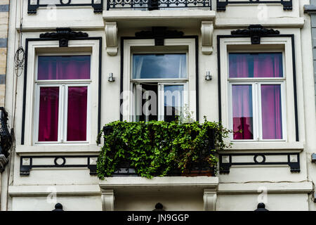 Altes, aber renoviert Fenster im historischen Teil von Bruxelles, Belgien Stockfoto