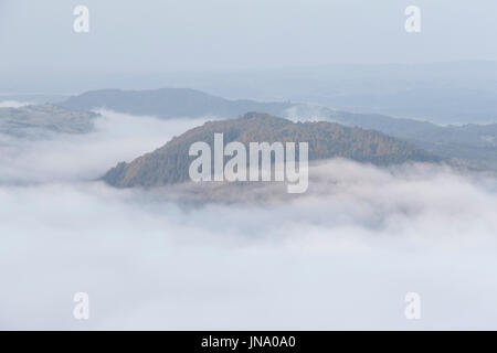 am frühen Morgen nebligen Bergen von Lake Windermere, Lake District-Nationalpark, Cumbria, England, uk-gb Stockfoto