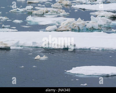 Eisschollen auf Gewässern des Storfjorden große Sole Bucht zwischen Spitzbergen Insel im Westen und den Inseln Barentsøya und Edgeøya, die eastv Stockfoto