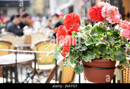 Menschen im Café am Stortorget Platz in Stockholm, Schweden. Die Geranien Blumen im Fokus Stockfoto