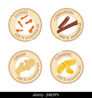 Reihe von flachen ätherisches Öl Etiketten. 100 Prozent. Nelken, Zimt, Ingwer, Kurkuma Stock Vektor