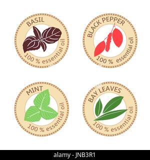 Reihe von flachen ätherisches Öl Etiketten. 100 Prozent. Lorbeerblätter, Basilikum, Pfeffer, Minze Stock Vektor