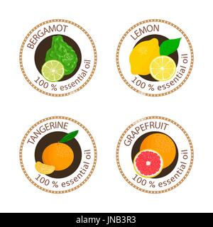 Reihe von ätherischen Ölen Etiketten. Bergamotte, Zitrone, Grapefruit, Mandarine Stock Vektor