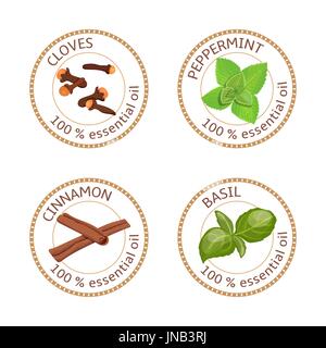 Reihe von ätherischen Ölen Etiketten. Basilikum, Zimt, Nelken, Pfefferminze Stock Vektor