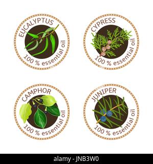 Reihe von ätherischen Ölen Etiketten. Eukalyptus, Wacholder, Zypresse, Kampfer-Baum Stock Vektor
