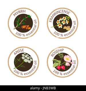 Reihe von ätherischen Ölen Etiketten. Myrrhe, Weihrauch, Anis, Hagebutte Stock Vektor