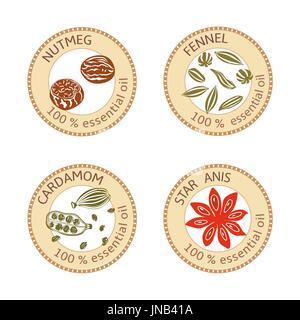 Reihe von flachen ätherisches Öl Etiketten. 100 Prozent. Fenchel, Kardamom, Muskatnuss, Sternanis Stock Vektor