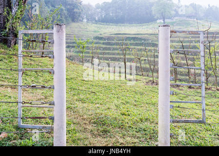 Kleine Metall Tür, die geöffnet in den Kirschbaum-Garten auf dem Hügel im Norden von Thailand. Stockfoto