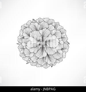 Floraler Hintergrund. Grußkarte mit Blume. Gedeihen Sie Grenze. Sanfte Dekor mit Sommer Blume Dahlie. Schwarz / Weiß-Vektor-illustration Stockfoto