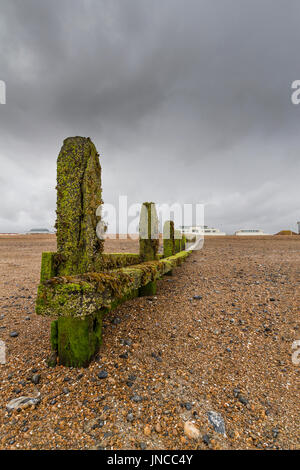 Erodierte Wellenbrecher in die Kieselsteine am Strand von Goring-by-Sea Stockfoto