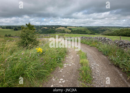 Englischen Country Lane im Peak District, Derbyshire, England. Stockfoto