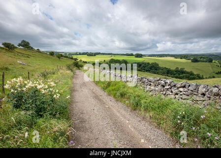 Englischen Country Lane im Peak District, Derbyshire, England. Mädesüß wächst in den grasbewachsenen Rande. Stockfoto