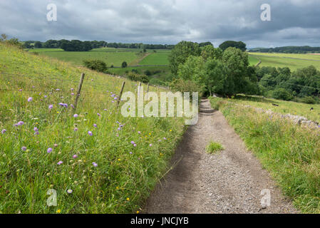 Englischen Country Lane im Peak District, Derbyshire, England. Stockfoto