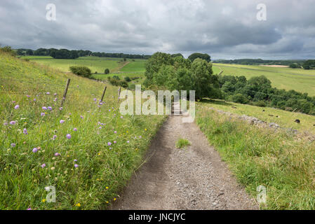 Englischen Country Lane im Peak District, Derbyshire, England. Stockfoto