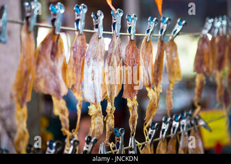 Hung up Squid getrocknet Khlong Lat Mayom Floating Market, Bangkok Thailand Stockfoto