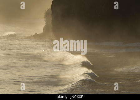 Welle an der Küste von Pololu Valley, North Kohala, Big Island von Hawaii. Stockfoto