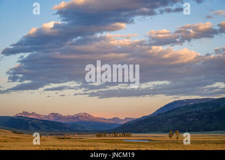 Lamar Valley und die Absaroka Berge, Yellowstone-Nationalpark, Wyoming. Stockfoto