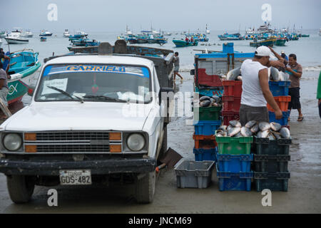 Strand, Fischmarkt, Puerto Lopez, Ecuador Stockfoto