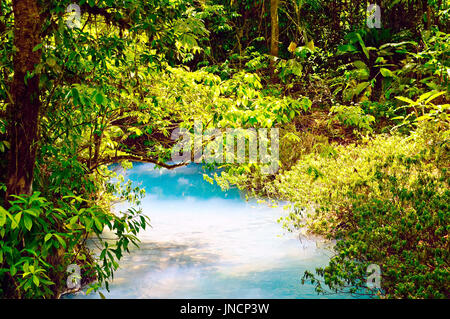 Celeste in Costa Rica (Tenorio Park) hat eine starke Himmel blau. Stockfoto