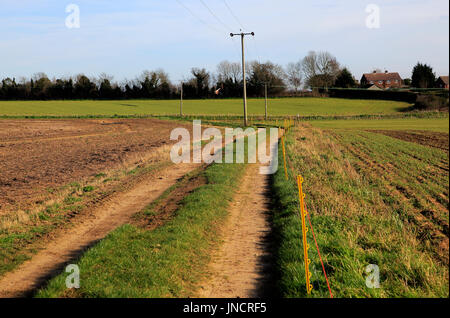 Telegrafenmasten mit Strom Strom, Kabel und Weg durch Felder Alderton, Suffolk, England, UK Stockfoto