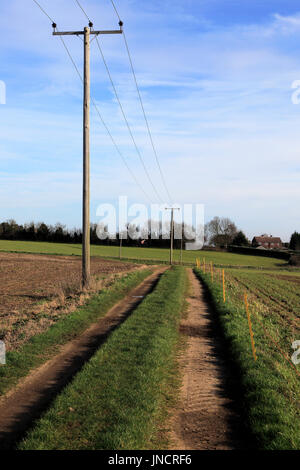 Telegrafenmasten mit Strom Strom, Kabel und Weg durch Felder Alderton, Suffolk, England, UK Stockfoto