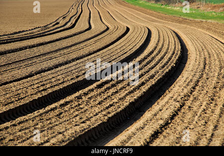 Linien im Bereich braunen Boden bereit für Anbau, Shottisham, Suffolk, England, UK Stockfoto