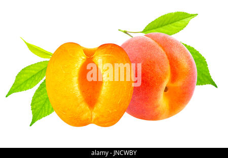 Isolierte Aprikosen. Frische Aprikosen Früchten isoliert auf weißem Hintergrund Stockfoto