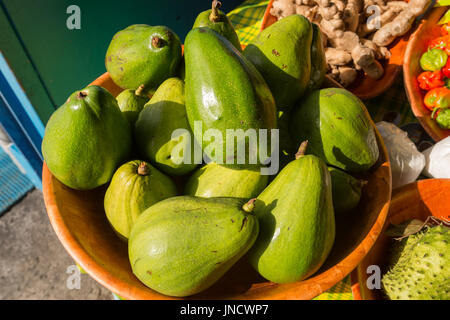 Viele Avocados für den Verkauf auf dem lokalen Markt in Martinique Stockfoto