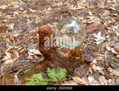 HDR-Crystal Ball auf dem Boden in einer Cypree Knie Gabel Stockfoto