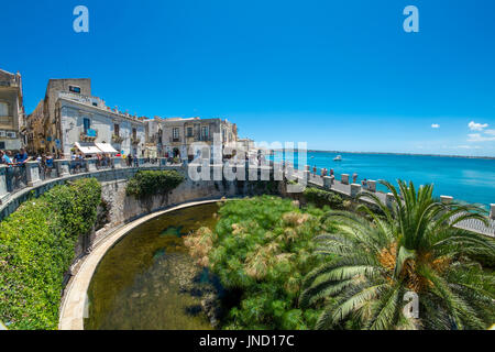 Die Quelle der Arethusa ist ein Brunnen auf der Insel Ortigia im historischen Zentrum der Stadt Syrakus auf Sizilien, Italien. Stockfoto