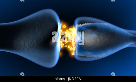 Neurotransmission in der Synapse. 3D Animation gerendert. Stockfoto