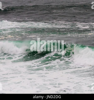 Curling/Petrol Wave und White Wash im Pazifischen Ozean Stockfoto