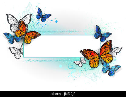 Rechteckige Fahne mit blauer Schmetterling Morpho und Orange Monarchfalter auf weißem Hintergrund. Morpho. Monarch-Schmetterling. Design mit Schmetterlingen. Stockfoto