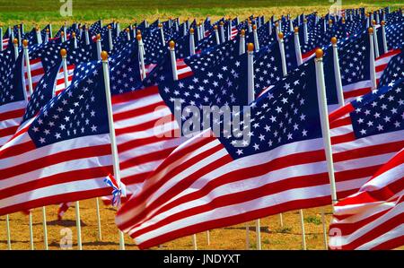 Fahnen in einem Feld an der Amerikaner im Irak getötet. Stockfoto