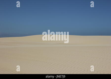 Dünen und Strand von Parc Natural de Corralejo Stockfoto