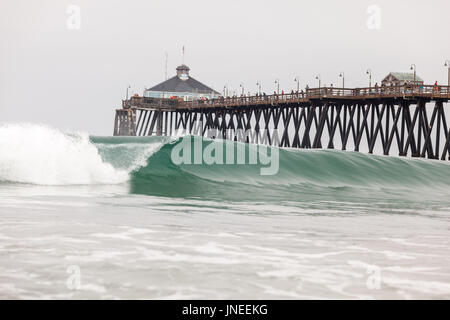 Imperial Beach, CA, USA. 29. Juli 2017. Surfdog kehrt nach Imperial Beach für das zwölfte Jahr. Bildnachweis: Daren Fentiman/ZUMA Draht/Alamy Live-Nachrichten Stockfoto