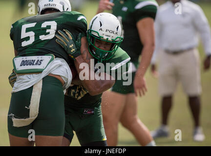 Florida, USA. 29. Juli 2017. CHARLIE KAIJO | Times.USF Linebacker Andre Polk Jr. (12) läuft einen Tackle Bohrer während des Trainings auf dem Fußballplatz Praxis bei USF in Tampa, Florida, auf Samstag, 29. Juli 2017. Bildnachweis: Charlie Kaijo/Tampa Bay Times / ZUMA Draht/Alamy Live News Stockfoto