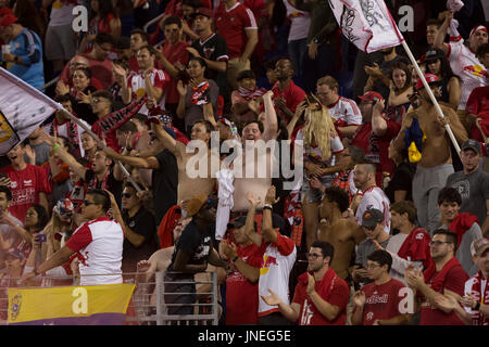 Harrison, Vereinigte Staaten von Amerika. 29. Juli 2017. Harrison NJ USA - 29. Juli 2017: Fans feiern Ziel von Bradley Wright-Phillips (nicht abgebildet) beim MLS-Spiel zwischen den New York Red Bulls und Montreal Impact auf Red Bull Arena Credit: Lev Radin/Alamy Live-Nachrichten Stockfoto