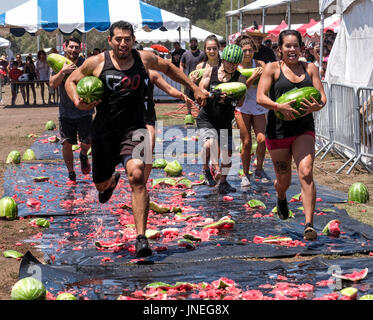 Los Angeles, USA. 29. Juli 2017. Menschen spielen auf dem 55. jährliche Kalifornien Wassermelone Festival in Los Angeles, USA, 29. Juli 2017. Bildnachweis: Zhao Hanrong/Xinhua/Alamy Live-Nachrichten Stockfoto