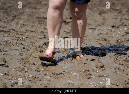 Lulworth Castle, Dorset, UK. 30. Juli 2017. Blauer Himmel und Schlamm auf der letzte Tag im Camp Bestival. Bildnachweis: David Partridge/Alamy Live-Nachrichten Stockfoto