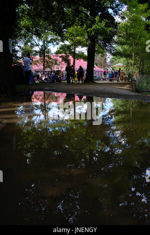 Cambridge, UK. 30. Juli 2017. Reflexionen auf der Cambridge Folk Festival. Richard Etteridge / Alamy Live News Stockfoto