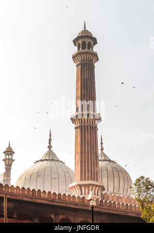 Jama Masjid in Delhi, Indien Stockfoto